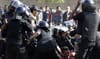 Egypt security forces arrest dozens of protestors