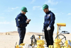 Algeria Aims to Become Major Gas Supplier to Europe