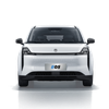 Egypt teams up with Chinese auto giant in EV push