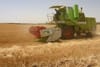 Algeria and Italy sign $455 million agriculture deal