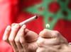 Moroccan marijuana growers come “out of the shadows” after partial legalization