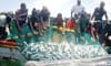 EU fishing trawlers to leave Senegalese waters