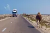 Morocco set to open new border crossing with Mauritania