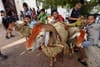 Algeria to import one million sheep to curb Eid al-Adha price surge