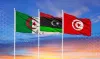 Tunisia to collaborate with Libya, and Algeria to combat smuggling.