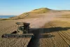 Morocco forecasts 41% jump in grain harvest to 4.4 million tons