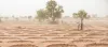 Aid Agency: Sahel region to face another year of “alarming” food insecurity