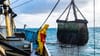 Morocco, Mauritania sign fish‑product marketing pact