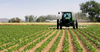 AfDB approves €100 million loan for Morocco’s sustainable agriculture