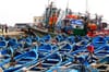 Morocco’s fishing industry reports lackluster results