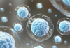 Morocco achieves first stem cell reprogramming breakthrough