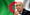 Algerian President gets his allies in place ahead of elections