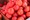 Morocco overtakes Spain as EU’s second largest tomato supplier
