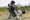 US Department of State Approves Sale of Javelins to Morocco
