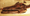 Paleontologists find new Mosasaur species from Morocco
