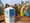 Sahel’s humanitarian crisis under the spotlight