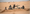 Human Rights Watch: Sahel juntas accused of human rights violations