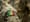 Russian Wagner Mercenaries helping Mali army kill civilians, rights groups say