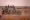 Morocco ranks amongst world’s top 20 most powerful artilleries