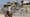 Egypt state media: Gaza truce talks make 'significant progress'