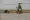 US, Morocco conduct chemical, biological, radioactive, and nuclear response demonstration at African Lion 2024
