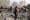 Algeria drafts UN resolution to end Israeli offensive in Rafah