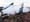 New Libyan intelligence documents could spark Lockerbie bombing retrial