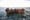 Tunisian official: Eight migrants die, 29 rescued off coast of Sfax
