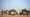 Algeria expels over 1,800 migrants to Niger border, rights group says