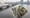 Egypt's net foreign assets up in February