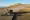 Morocco forecasts 41% jump in grain harvest to 4.4 million tons