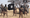 Weapons looted from armies fuel jihadist gains in Sahel