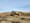Algeria mulls changes to mining rules to attract foreign investment