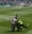 Morocco under scrutiny after PETA protestor crashes Club World Cup game