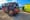 Nine dead in Egypt road crash