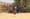 At least 50 Sudanese displaced people rescued in Libya’s Al-Kufra desert