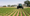 AfDB approves €100 million loan for Morocco’s sustainable agriculture